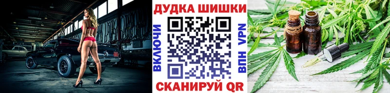 Бошки Шишки гибрид  Каневская 
